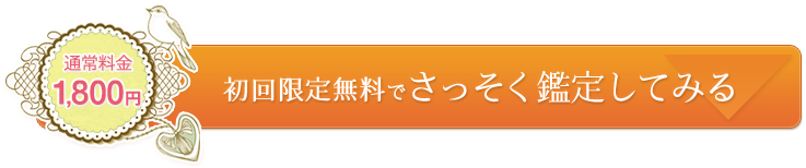 初回無料でさっそく無料鑑定してみる