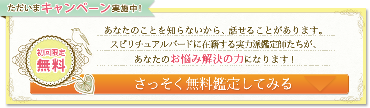 初回無料でさっそく無料鑑定してみる
